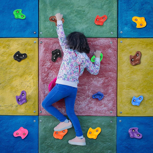 Colorful Rock Climbing Holds Plastic Material- 10 pieces